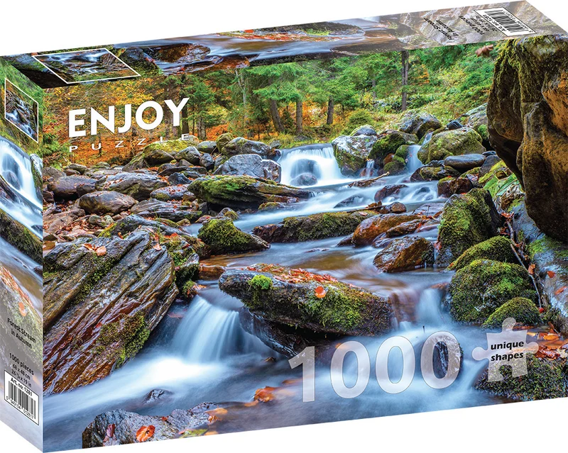 Enjoy- Forest Stream in Autumn (1000pcs)