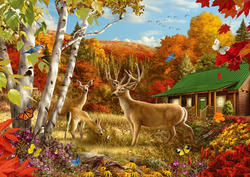 Enjoy- Somewhere in a Field, Alan Giana (1000pcs)