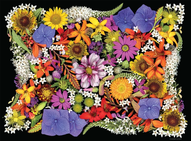 PFG Photography: Posy Patch (Usage/Used - PUZZLES FOR GOOD)