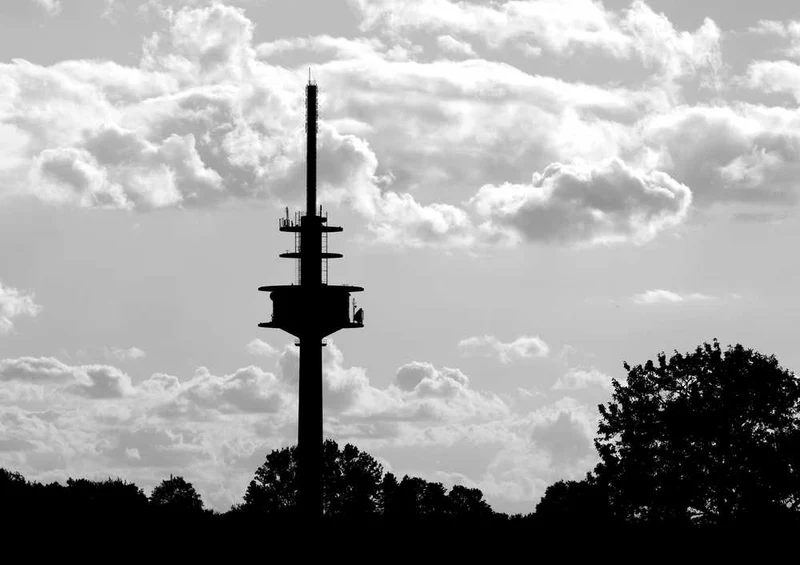 59617 Hintergründe - Foto schwarz weiß Puzzle