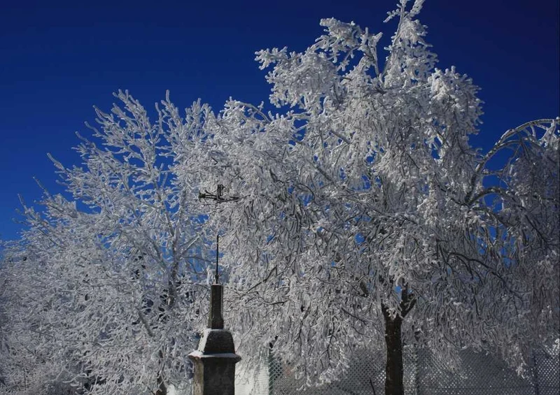 58861 Natur - Winter Puzzle