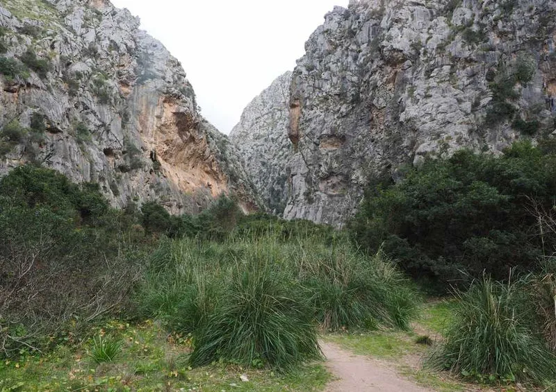 59152 Natur - Schlucht Puzzle