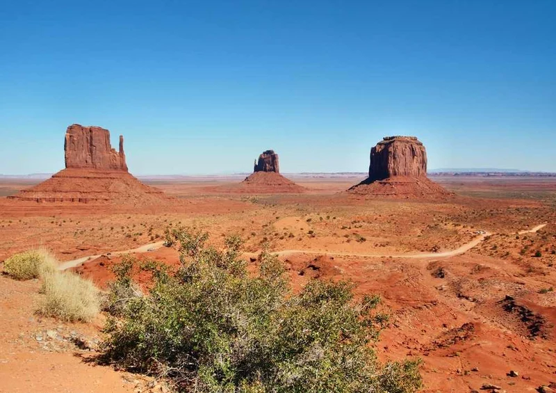 59182 Natur - Arizona Puzzle