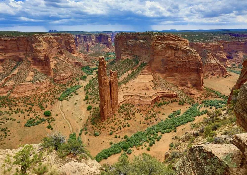 58857 Natur - Spider Rock Puzzle