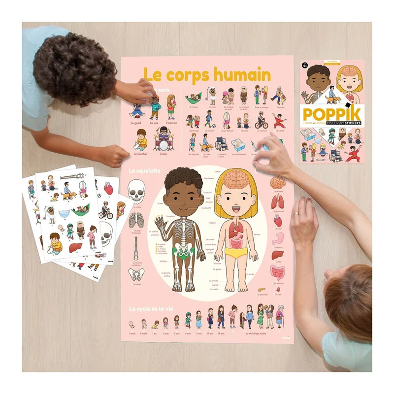 Sticker Lernposter Menschlicher Körper