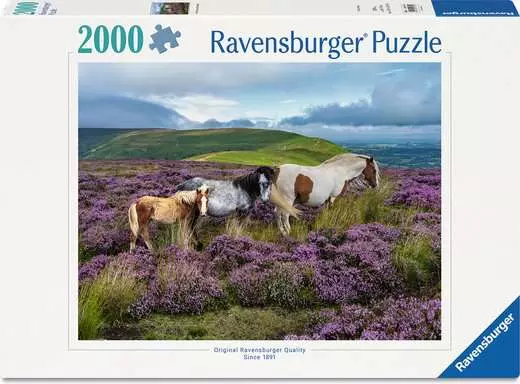 DMG Ravensburger Wild Horses in the Heather (2000pcs) (DAMAGED BOX)