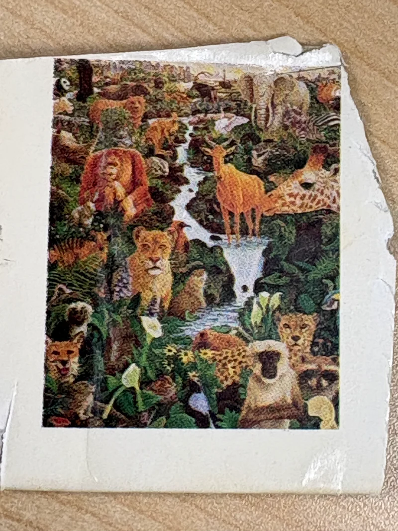 PFG BAG #13 - Safari (Usage/Used - PUZZLES FOR GOOD)
