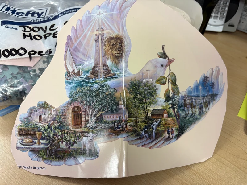 PFG BAG #7 - Dove of Hope (1000pcs) (Usage/Used - PUZZLES FOR GOOD)