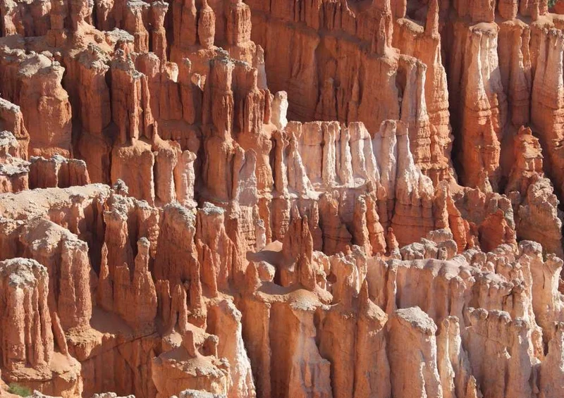 60139 Natur - Nationalpark Puzzle