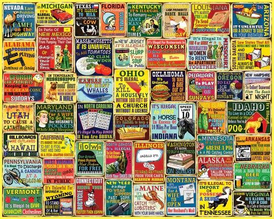 PFG Crazy State Laws, Steve Cameron (1000pcs) (Usage/Used - PUZZLES FOR GOOD)
