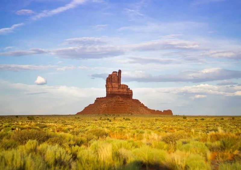 61849 Orte - Arizona Puzzle