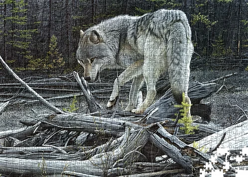 If a Tree Falls in the Forest - Grey Wolf - Collector's Edition (1000pcs)