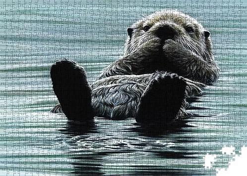 Kicking Back - Sea Otter - Collector's Edition (1000pcs)