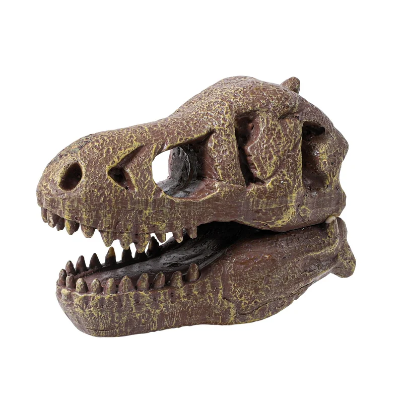 Dinosaurier-Schädelmuseum - Tyrannosaurus