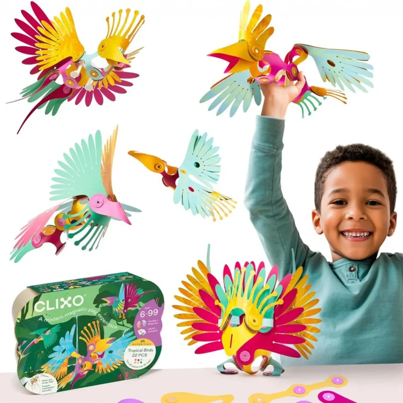 CLIXO Tropical Birds - Magnetspielzeug