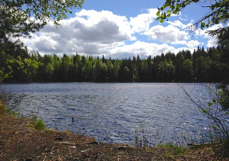 50634 Natur - Finnland Puzzle