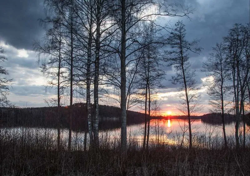 50610 Natur - Sonnenuntergang Puzzle