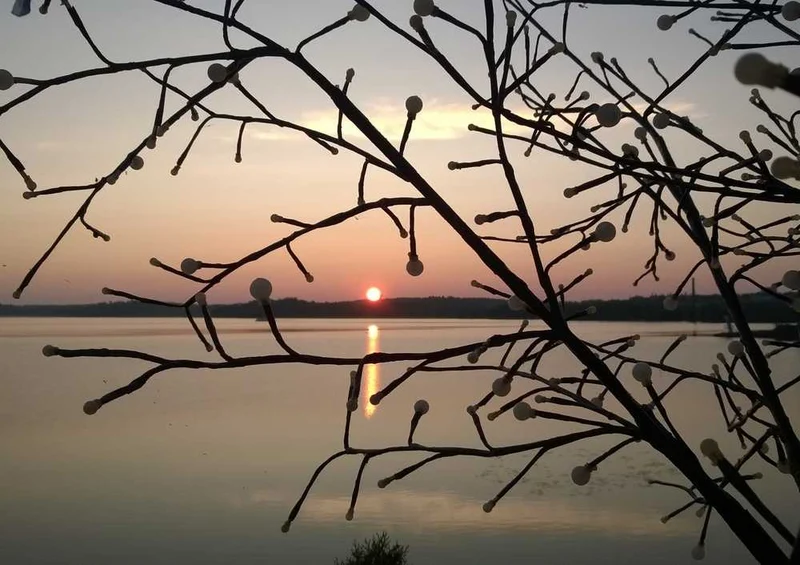 62157 Natur - Sonnenaufgang Puzzle