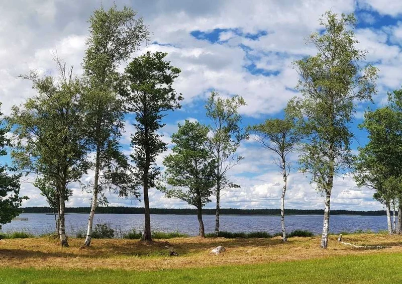 50579 Natur - Finnland Puzzle