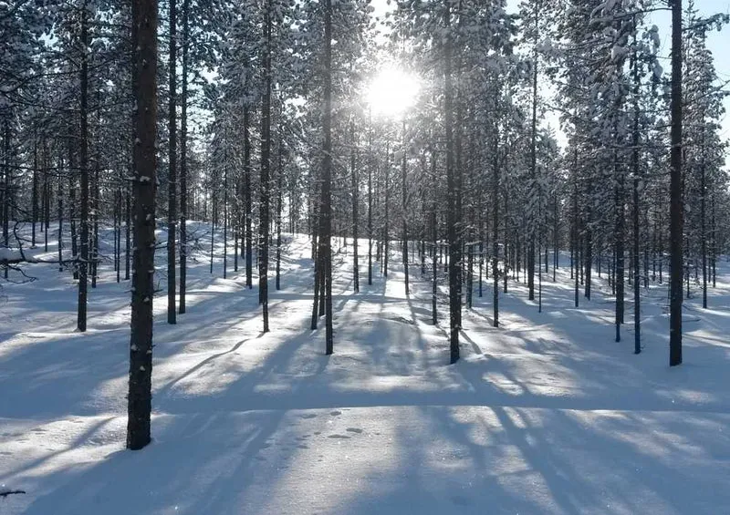 50576 Natur - Finnland Puzzle
