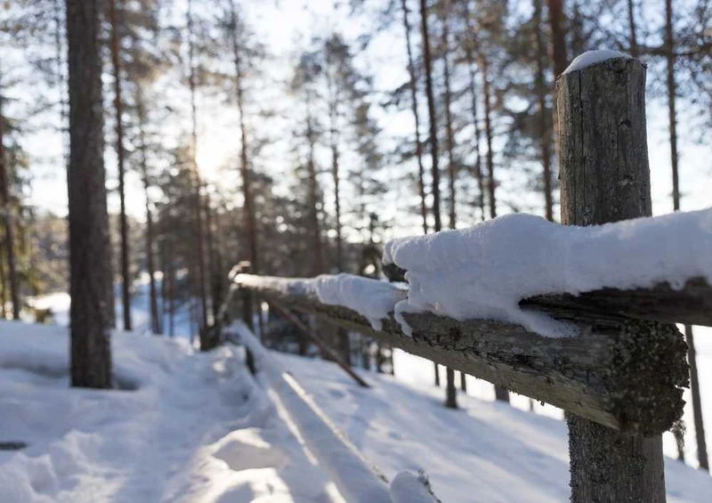 50573 Natur - Winter Puzzle