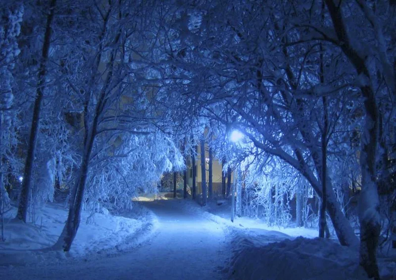 50536 Natur - Winter Puzzle