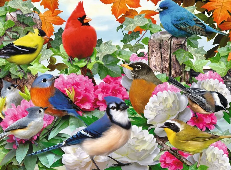 DMG Ravensburger Garden Birds (500pcs) (DAMAGED BOX)