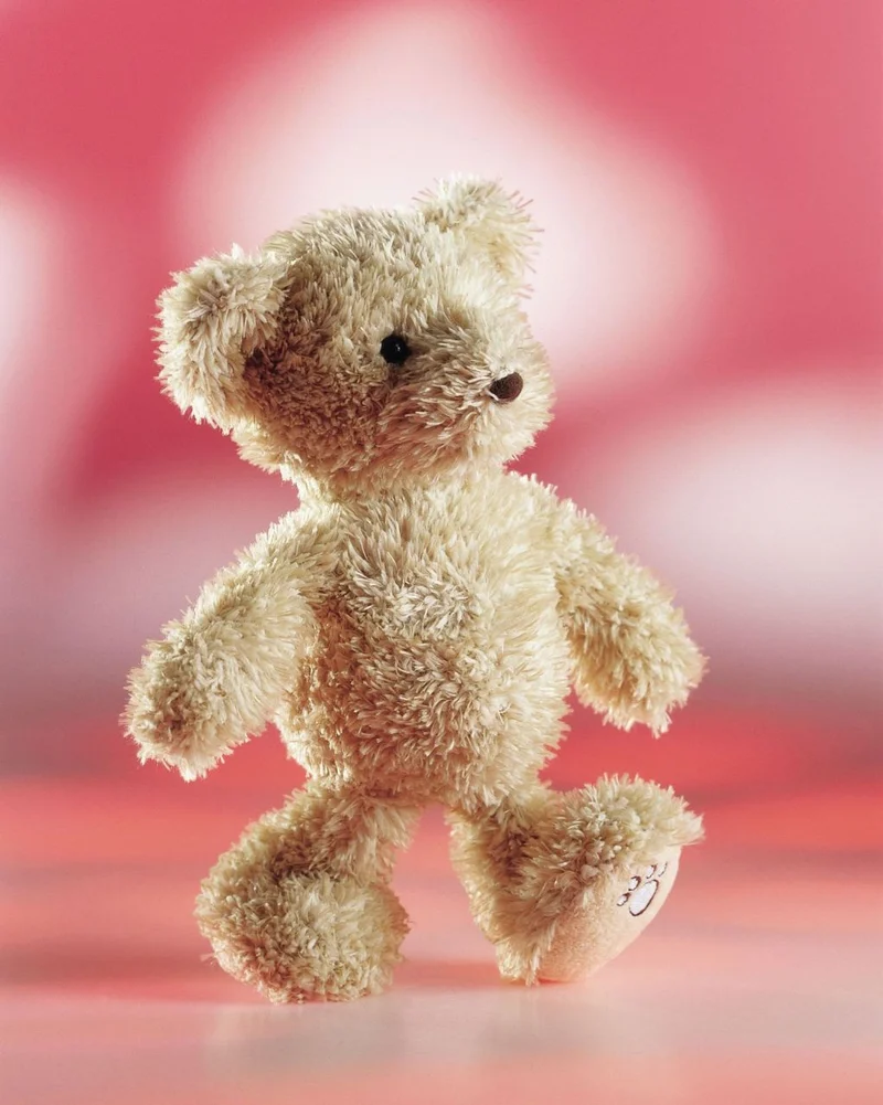 Schaffer-Plüschtier Teddy Luca, 26 cm