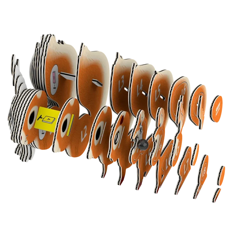 Eugy - 3D Bastelset Eichhörnchen