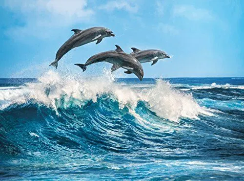 PFG Dolphins (Usage/Used - PUZZLES FOR GOOD)