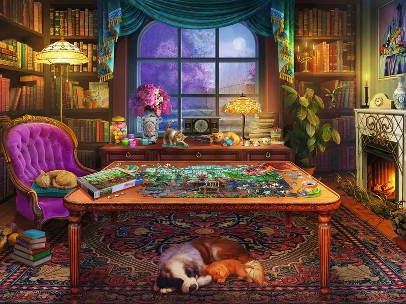PFG Ravensburger Puzzler's Place (750pcs) (Usage/Used - PUZZLES FOR GOOD)