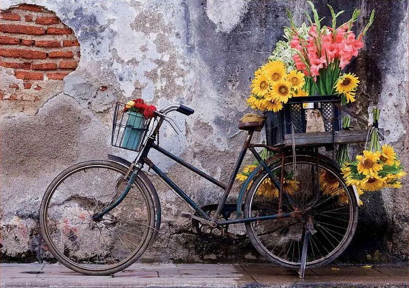 PFG Bicycle with Flowers (500 pcs) (Usage/Used - PUZZLES FOR GOOD)