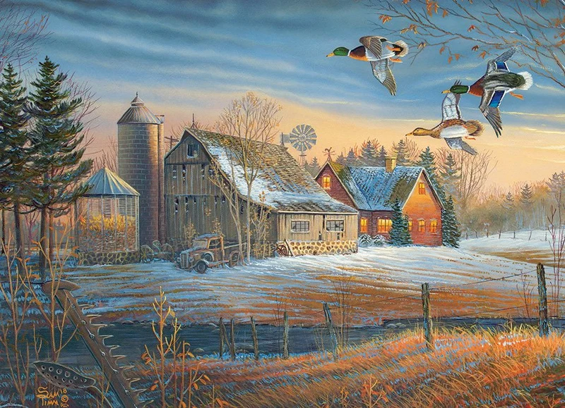 PFG Farmstead Flyby, Sam Timm (Usage/Used - PUZZLES FOR GOOD)