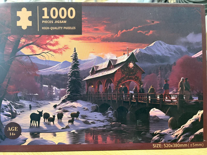 PFG Winter Scene (Usage/Used - PUZZLES FOR GOOD)
