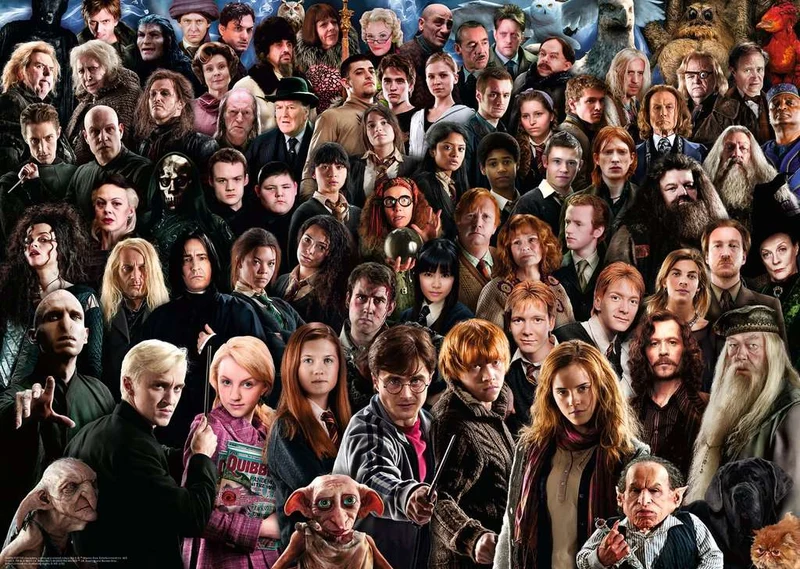 Ravensburger Harry Potter Challenge (1000pcs)