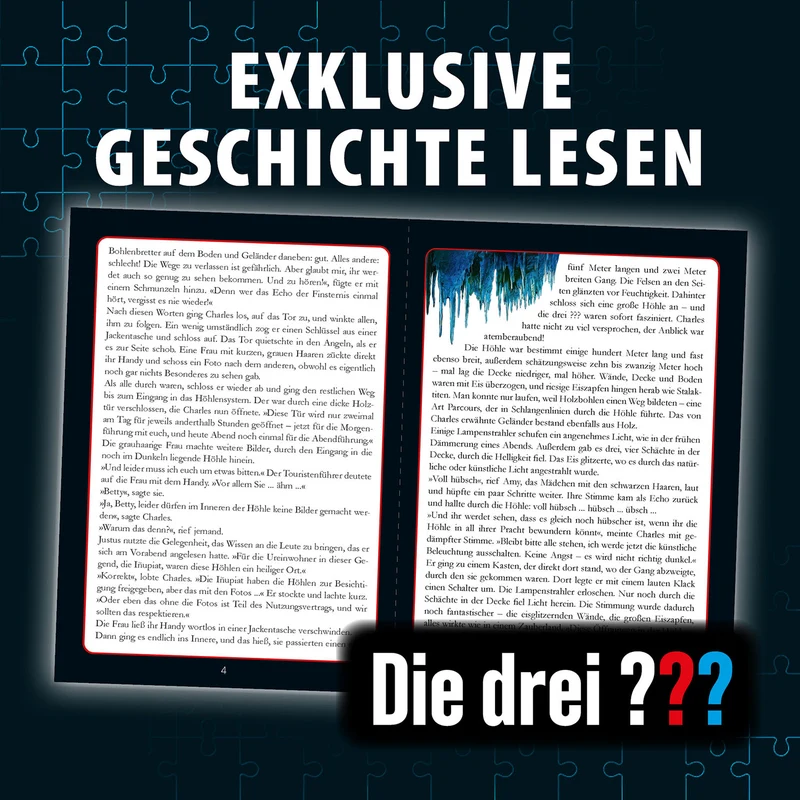Krimi-Puzzle: Die drei ??? - Das Echo der Finsternis