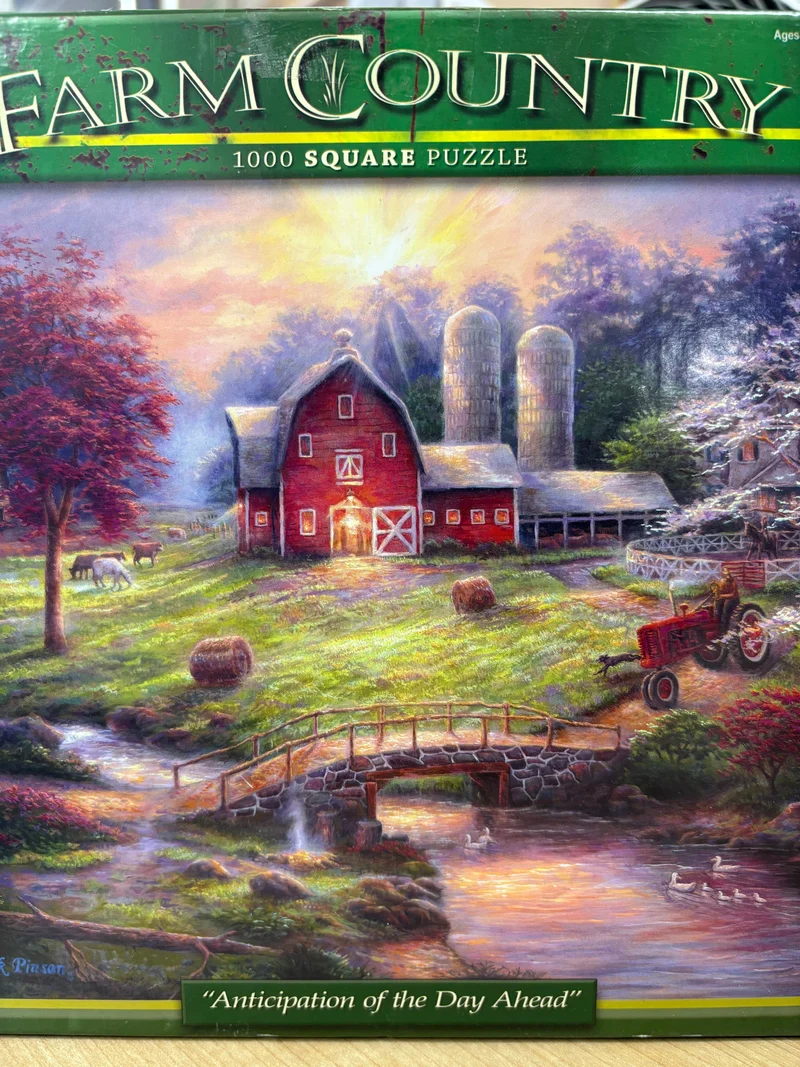 PFG Anticipation of the Day Ahead (1000pcs) (Usage/Used - PUZZLES FOR GOOD)