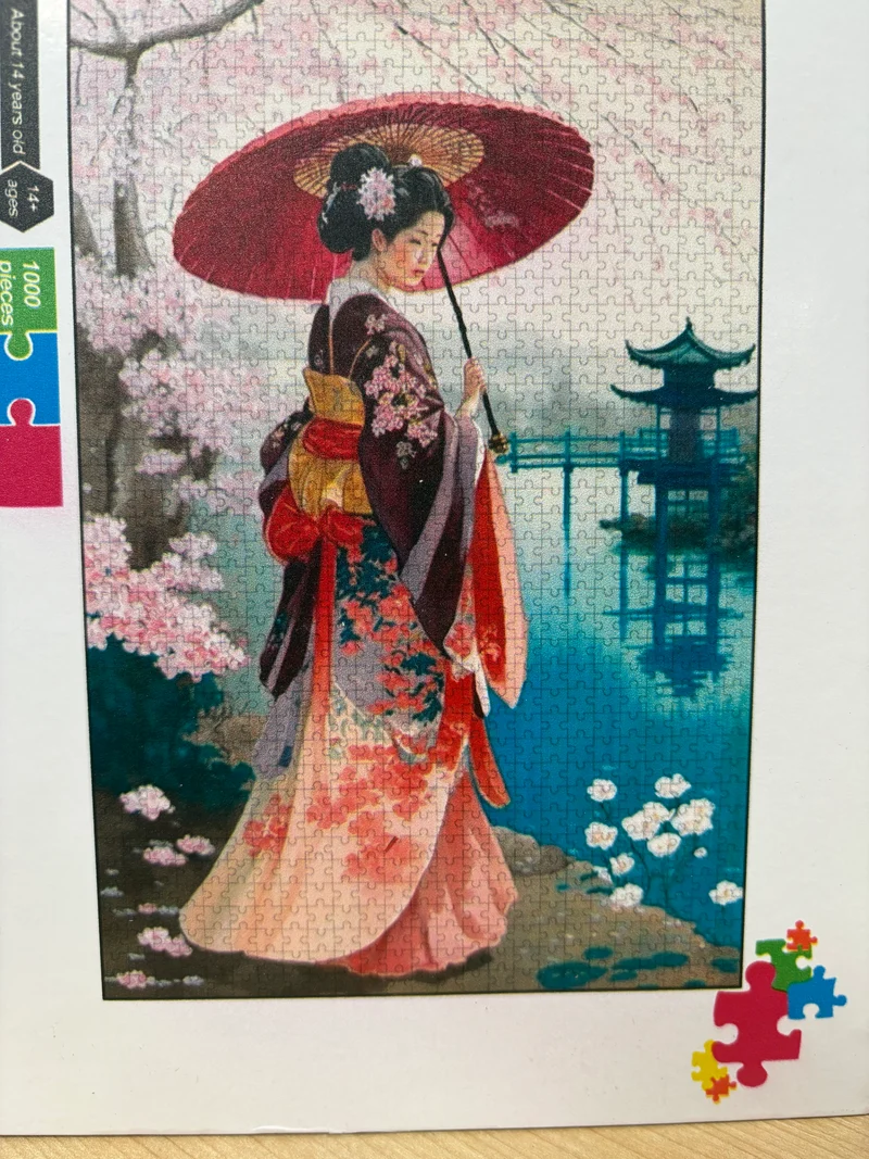 PFG Reflection (1000pcs) (Usage/Used - PUZZLES FOR GOOD)