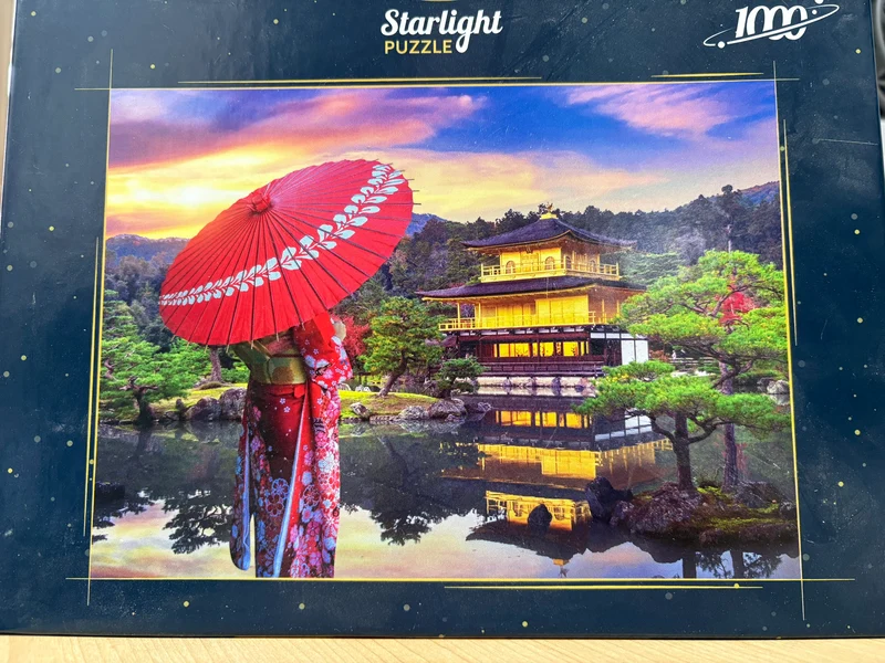 PFG Starlight (1000pcs) (Usage/Used - PUZZLES FOR GOOD)