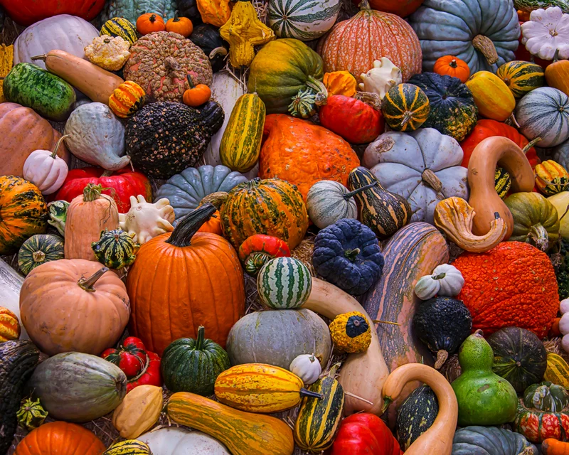 PFG Autumn Harvest, Garry Gay (Usage/Used - PUZZLES FOR GOOD)