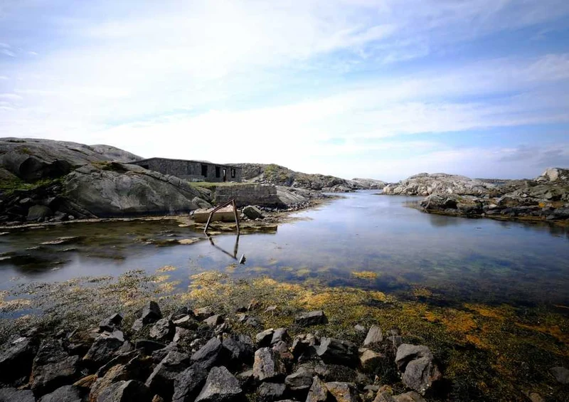 66653 Natur - Norwegen Puzzle