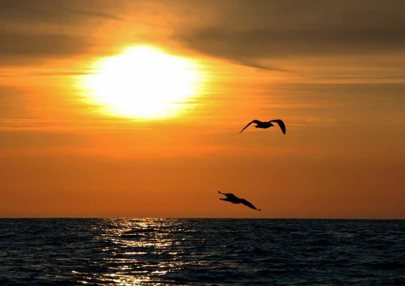 62985 Natur - Sonnenuntergang Puzzle