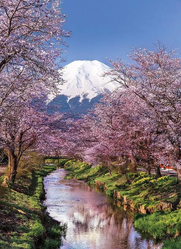 Fuji Mountain ( Mont Fuji)