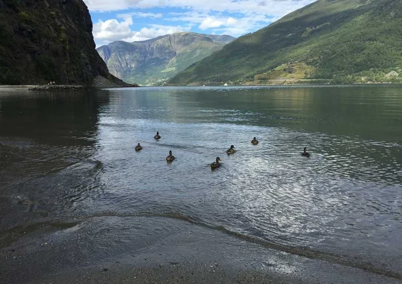 63298 Natur - Norwegen Puzzle