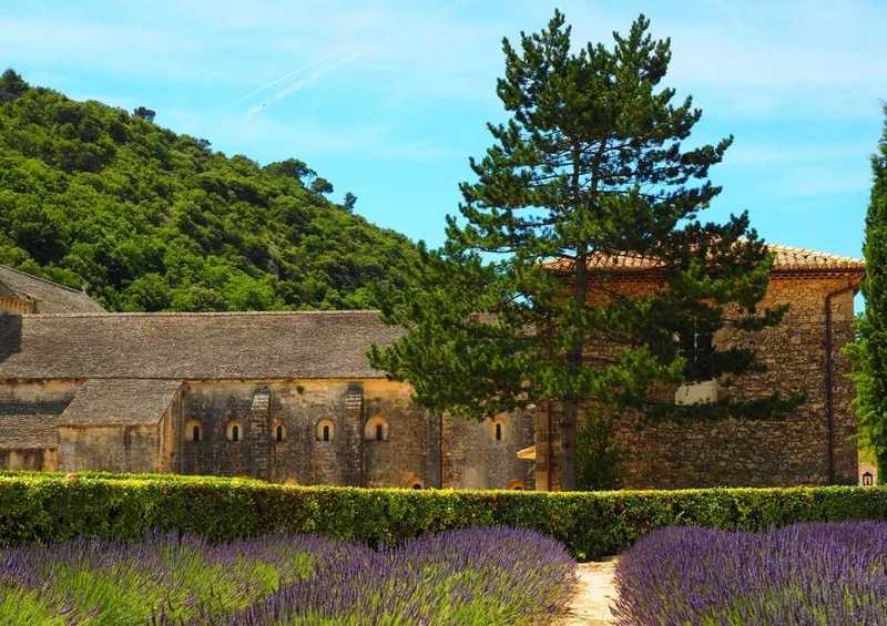 63391 Natur - Abbaye de Sénanque Puzzle