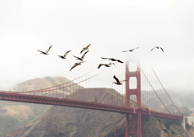 17072 Reisen - Golden Gate Bridge Puzzle