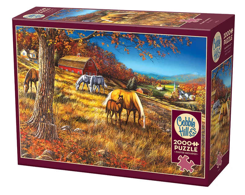 PFG Hillside Gathering (2000pcs) (Usage/Used - PUZZLES FOR GOOD)