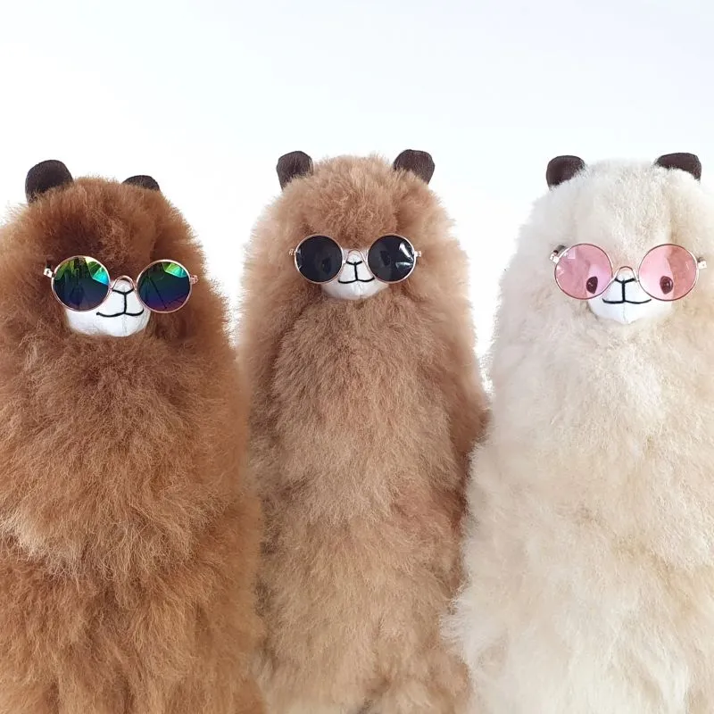 Brille für Alpakas – Flower Power