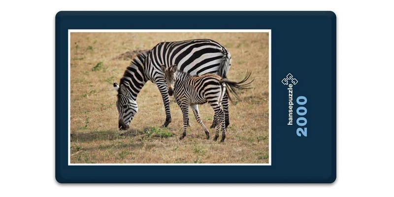 18312 Natur - Zebra Puzzle