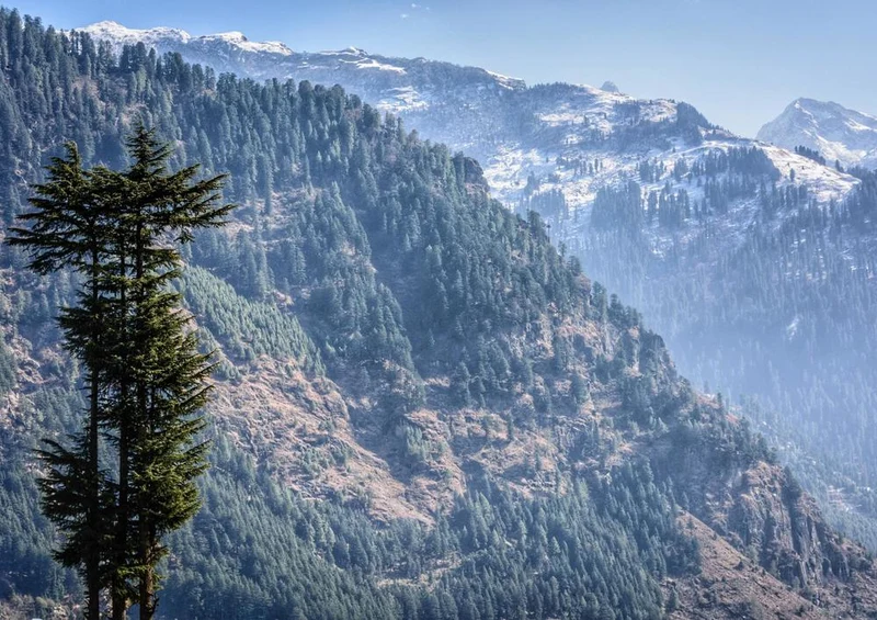 17014 Natur - Himalaya Puzzle